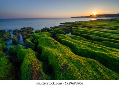 "Greenstone" Coastal landscape is the only special landscape of Taiwan, Laomei Green Reef is located on the North Coast near the Laomei Community in Shimen District.Every year ONLY in April and May。 - Shutterstock ID 1929698906