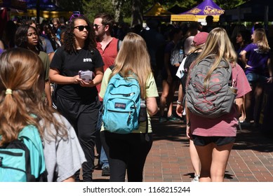 
Greenville, NC/United States- 08/29/2018: College Students Explore A Career Fair Being Organized On Campus. 