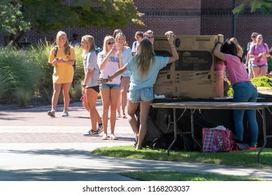 
Greenville, NC/United States- 08/29/2018: A Group Of Sorority Girls Participate In A Career Fair On A Muggy Afternoon. 