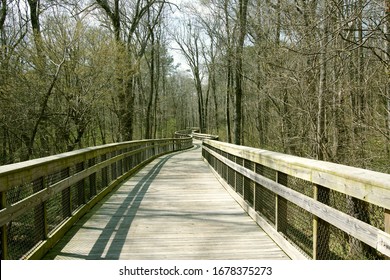 A Greenway Trail Curving Through The Trees In Raleigh, North Carolina