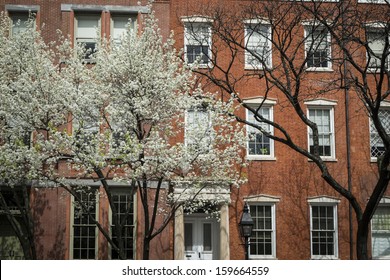 Greenwich Village apartment with cherry trees blooming in front, New York City