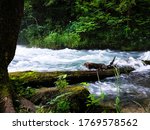 Greer Spring is the second largest spring in the Ozarks and located in Mark Twain National Forest