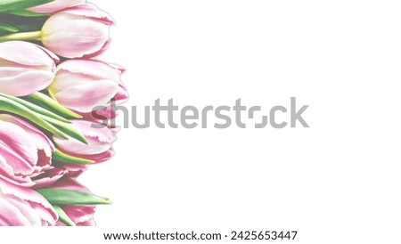 Greeting Card, Banner, Image For Website, Desktop Wallpaper, Frame, Blank. Tulip flowers isolated on white background. Valentine's Day card. Wedding. Birthday invitation. International women’s day