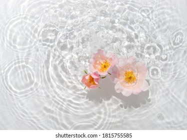 Greeting Card With Beautiful Rose Petals Macro With Drop Floating On Surface Of The Water Close Up. It Can Be Used As Background.

Flat Lay, Top View, Copy Space Concept.