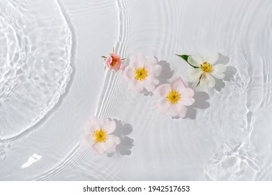Greeting card with beautiful rose petals macro with drop floating on surface of the water close up. It can be used as background.

Flat lay, top view, copy space concept. - Powered by Shutterstock