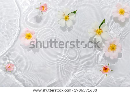 Greeting card with beautiful rose petals macro with drop floating on surface of the water close up. It can be used as background.

Flat lay, top view, copy space concept.