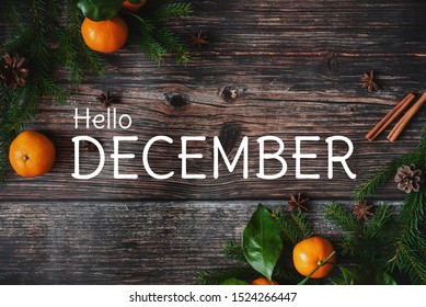 greeting card with fir branches and tangerines and the text Hello December - Powered by Shutterstock