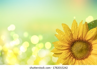 ヒマワリ イラスト かわいい の写真素材 画像 写真 Shutterstock