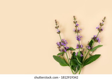 Greeting Card With Garden Sage Flowers On  Delicate Yellow Background. Flat Lay, Top View, Copy Space Concept.