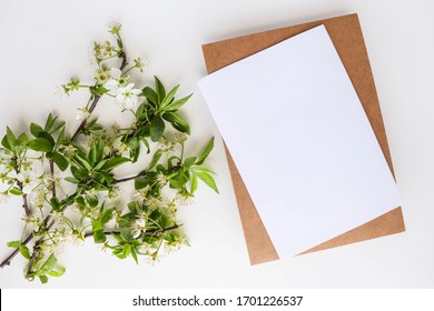 Greeting Card Mockup. Flowering Branch And Envelope On A White Background. Congratulation. Invitation. Place For Text. Flat Lay