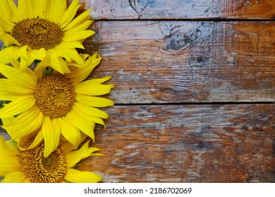 2,187 Happy birthday sunflower Stock Photos, Images & Photography ...