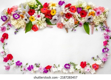 3,830 Bright daisy flowers frame border on white Images, Stock Photos ...