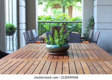 Gren plant in container on wooden table near wicker chairs within an outdoor patio.