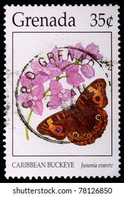 GRENADA - CIRCA 1996: A 35-cent stamp printed in Grenada shows the Caribbean buckeye butterfly, Junonia evarete, and bougainvillea, circa 1996