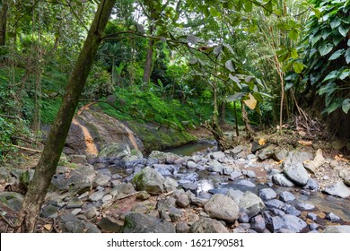 Grenada, West Indies - Annandale River