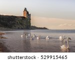 Gretna Castle Ayr & Swans