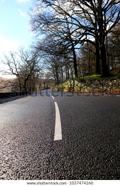 A grey asphalt country road with strong white\
lines in the middle, the low view point makes the road and white\
lines big in the foreground leading to the road curving off to the\
right into distance