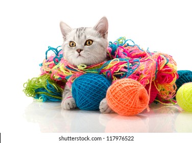 wool balls for cats