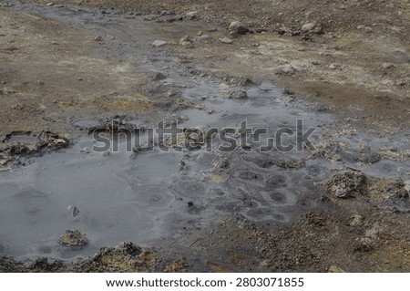 Grey boiling mud pools with bubbles, steam vents and sulfur deposits in the geothermal field at Dachnye Hot Springs, Kamchatka Peninsula, Russia.