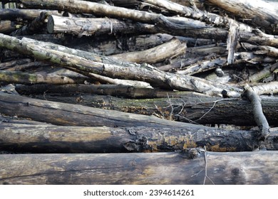Grey and brown stack of wood