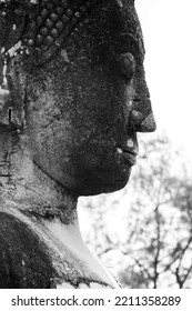 Grey Buddha Head Stone Black And White