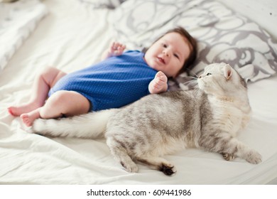 grey cat lying near baby boy