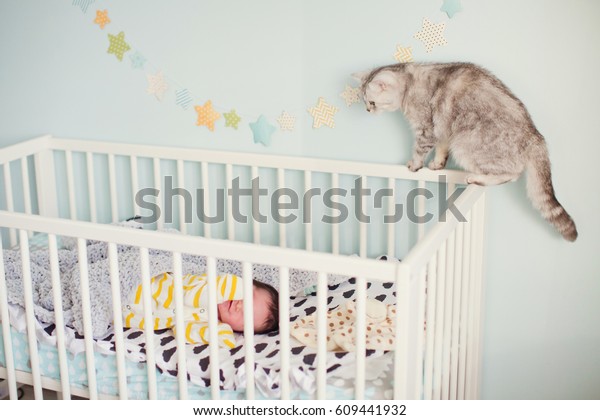 Grey Cat Near Crib Baby Stock Photo Edit Now 609441932