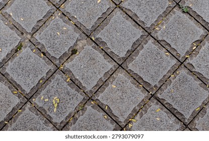 Grey cobblestone pavement texture background with fallen small yellow leaves in the gaps