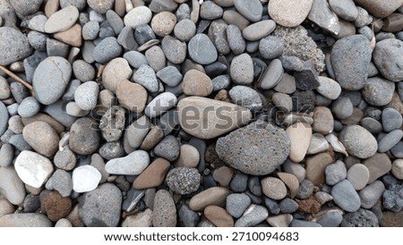 grey cobblestones in the backyard