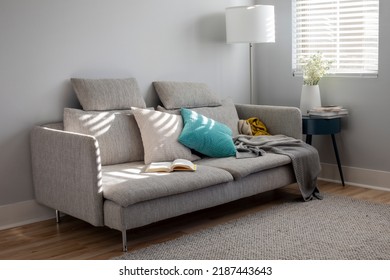 Grey colored modern sunlit living room with the couch, floor lamp, side table, carpet and window shades. Pillows, blanket and a book are on the couch. - Powered by Shutterstock