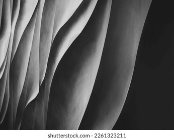 Grey curve texture wall art abstract background - Shutterstock ID 2261323211
