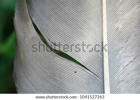 Similar – Image, Stock Photo roll by roll Paper