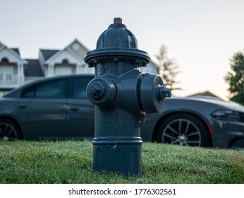 A Grey Fire Hydrant Next To A Grey Car.