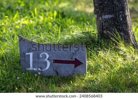 A grey flat stone with 13 engraved and painted white. There's a directional arrow to the right on lush green grass at the base of a large tree trunk. The golf sign is a thirteenth tee marker.