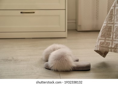 Grey Fuzzy Slippers On Floor In Room