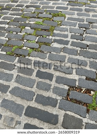 Grey granite sett paving with patchwork concrete mortar joints.