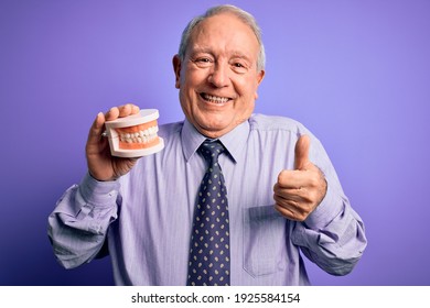 Grey Haired Senior Man Holding Orthodontic Prosthesis Denture Over Purple Background Happy With Big Smile Doing Ok Sign, Thumb Up With Fingers, Excellent Sign