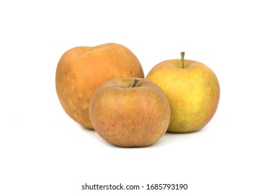 Grey hard Reinette Apple - Renetta, Rennet - Shutterstock ID 1685793190