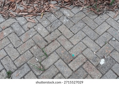 Grey herringbone pattern paving blocks with fallen autumn leaves and green grass peeking through gaps. Textured concrete brick pavement background for urban design.