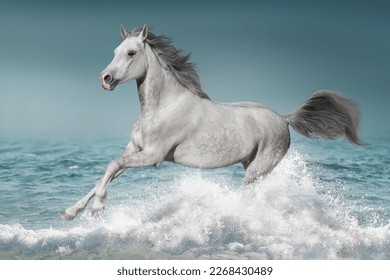 Grey horse runs in the water of the blue sea - Powered by Shutterstock