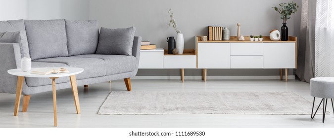 Grey Lounge Standing In Bright Sitting Room Interior With Books, Plants And Decorations On Cupboard, Carpet On The Floor And Small Table