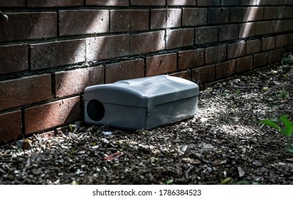 Grey Metal External Rodent Rat Bait Station Outside Against A Brick Wall Close Up.  Pest Control.