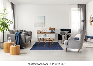 Grey And Navy Blue Living Room Interior With Comfortable Sofa And Armchairs