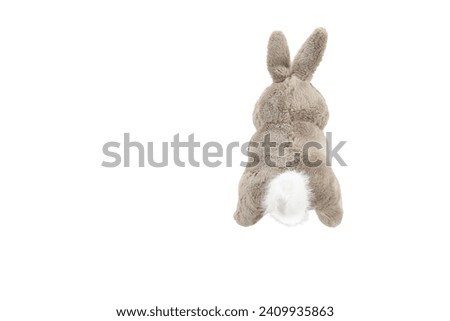 grey rabbit doll plaything for kids isolated on white background. child soft toys collection. top view character puppet. grey and white rabbit.
