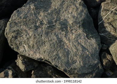 Grey Rock And Stone Walpaper Texture