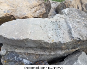 grey rocks with tiny red mites and lichen
