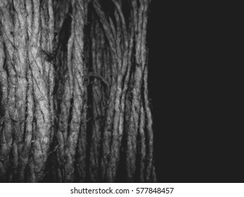 grey ropes. macro