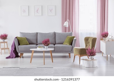 Grey Settee With Green Cushions And Purple Blanket In Real Photo Of White Living Room Interior With Coffee Table With Fruits And Heather, Posters On Wall And Window With White And Dirty Pink Curtains