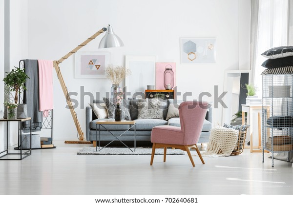 Grey Sofa Decorative Pillows Living Room Stock Photo Edit Now