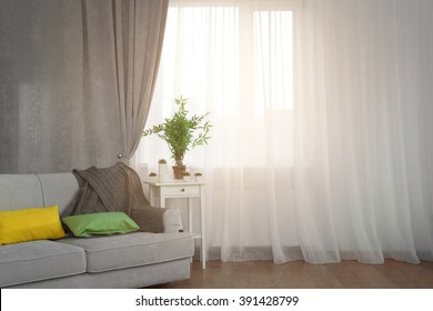 Grey sofa and small table with green plant on curtain background
